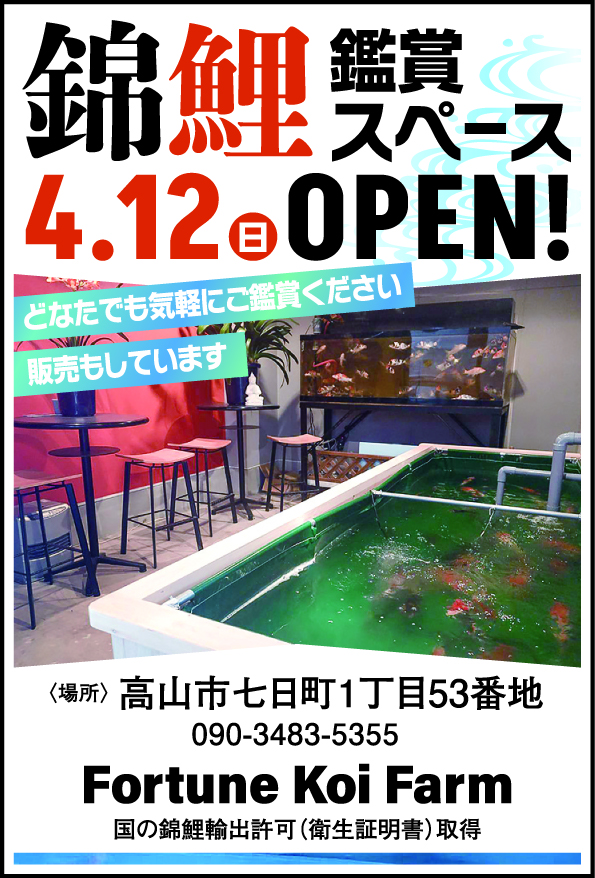 鯉チラシ20260407